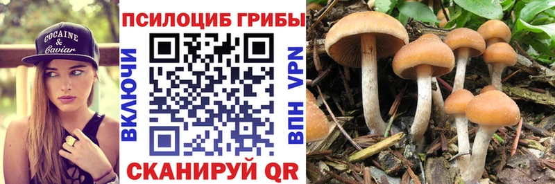 цена наркотик Подпорожье Галлюциногенные грибы ЛСД