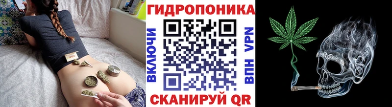 купить   Подпорожье  Бошки Шишки Ganja 